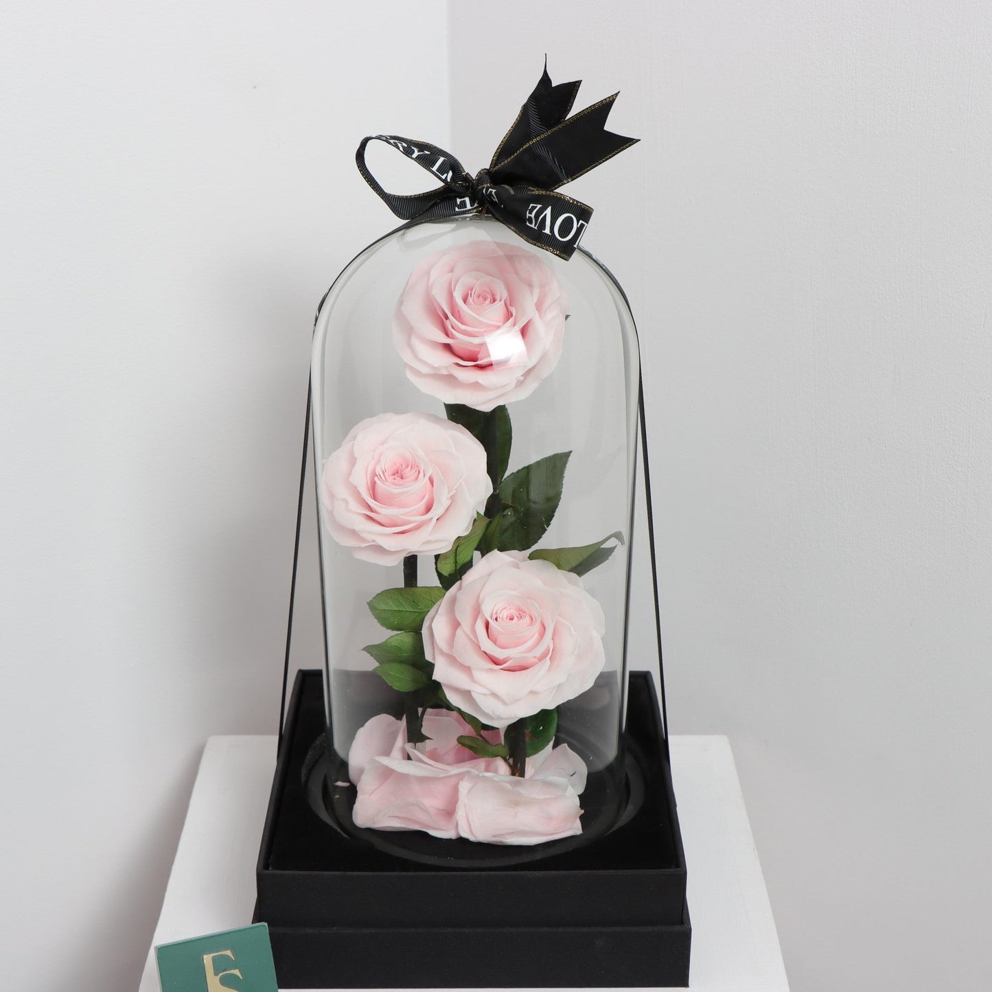 Preserved 3 Stem pink Rose Glass Dome. ( Medium ) D14 X H23cm.